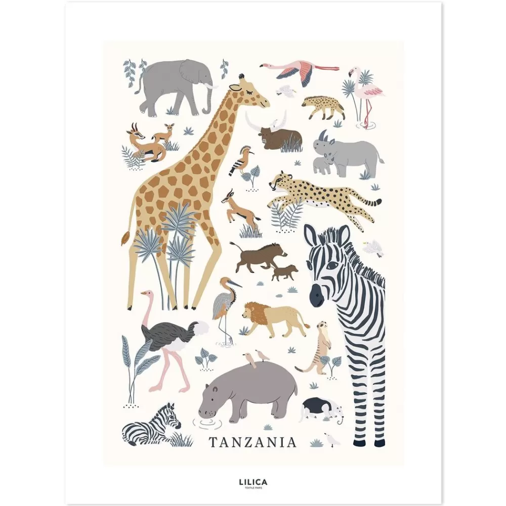 Clearance Kidzsupplies Lilipinso Kinderposter Wilde Dieren Tanzania