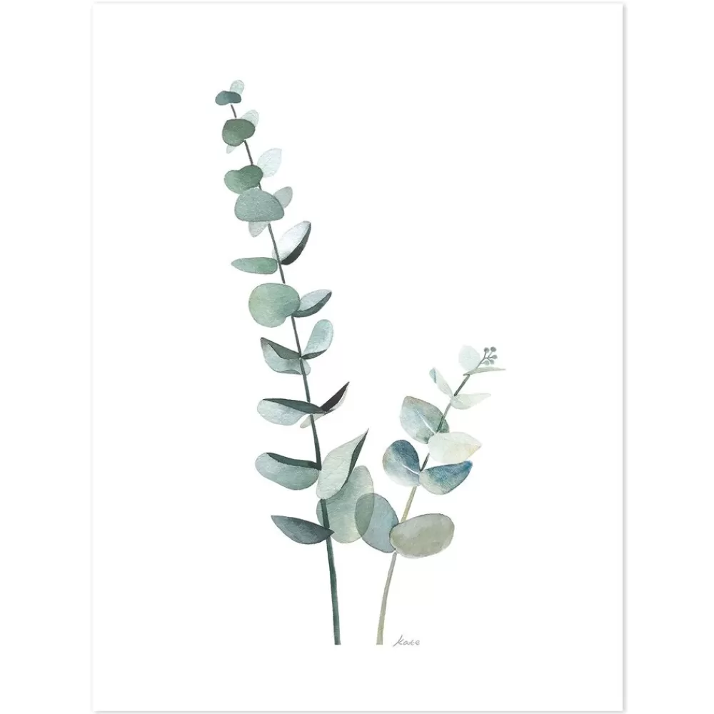 Discount Kidzsupplies Lilipinso Poster Kinderkamer Eucalyptus